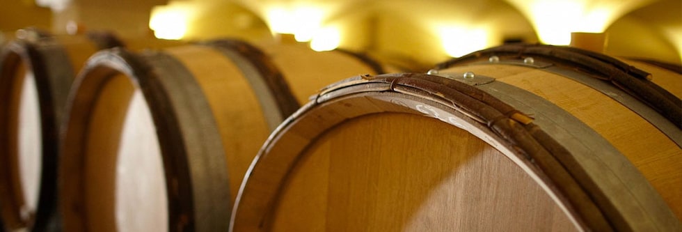 ブルゴーニュ・ブラン キュヴェ・サン・ヴァンサン 2020年 ヴァンサン・ジラルダン 正規 750ml （フランス ブルゴーニュ 白ワイン）