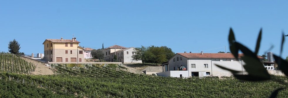 イル・ビアンコ 2021年 ヴィニェディレオ  （トス・カステッリ） 750ml （イタリア 白ワイン）