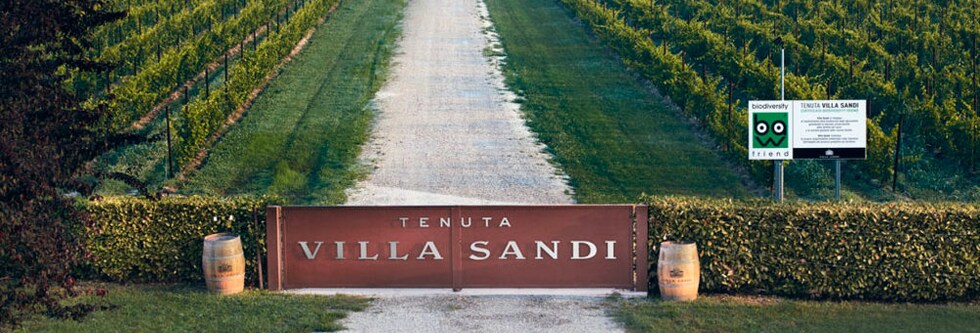 ヴィラ サンディ ロザート スパークリング ブリュット 750ml 辛口 ロゼ スパークリングワイン イタリア ヴェネト グレーラ種 ピノ ノワール