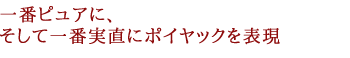 シャトー ポンテ カネ 2019 メドック グラン クリュ クラッセ格付第5級 AOCポイヤック シャトー元詰 フランス ボルドー