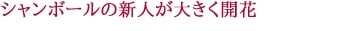 ジュヴレ シャンベルタン シャジエール 2019 ドメーヌ G ロブロ マルシャン元詰 AOCジュヴレ シャンベルタン 赤 辛口 750ml