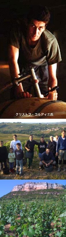 サン・ヴェラン クロ・ア・ラ・コート 2015年 ドメーヌ・コルディエ・ペール・エ・フィス 750ml （フランス ブルゴーニュ 白ワイン）
