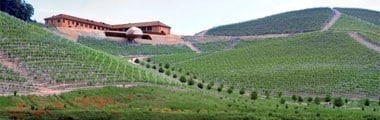 アルネイス ブランジェ 2022年 チェレット社 750ml （イタリア 白ワイン）