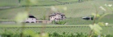 モスカート・ジャッロ ゴールドムスカテラー 2019年 テヌータ・マニンコール 750ml （イタリア 白ワイン）