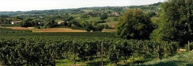 ベッレンダ プロセッコ ディ コネリアーノ ヴァルドッビアーデネ ブリュット ミレジマート 2023年 スパークリングワイン