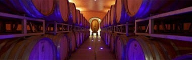 ソアーヴェ クラッシコ 2021年 カーサ・ヴィニコーラ・サルトーリ 750ml （イタリア ヴェネト 白ワイン）