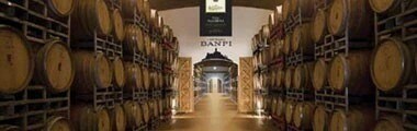 バンフィ “フマイオ” トスカーナ 2015年 IGTトスカーナ （白ワイン・イタリア）