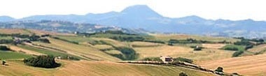 ヨーリオ モンテプルチーアノ・ダブルッツォ ウマニ・ロンキ 750ml （イタリア アブルッツォ 赤ワイン）