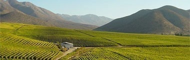 ワイン 赤ワイン ビーニャ・ファレルニア カルメネール グラン・リセルバ 2020年 750ml （チリ）