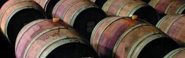 バルディビエソ シングルヴィンヤード レイダ・ヴァレー ソーヴィニヨン・ブラン レゼルバ 2018年 750ml （チリ 白ワイン）