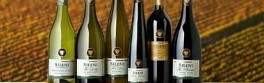 シレーニ セラー セレクション ソーヴィニヨン ブラン 2021 マールボロ ニュージーランド 辛口 白ワイン 750ml