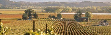 ロバート・モンダヴィ プライヴェート・セレクション ピノ・ノワール 2021 750ml （アメリカ カリフォルニア 赤ワイン）