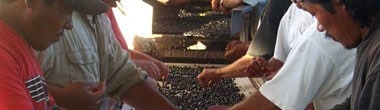 ハーシュ・ヴィンヤーズ ウエストリッジ ピノ・ノワール 2011年 750ml 直筆サイン入りボトル (カリフォルニア 赤ワイン）