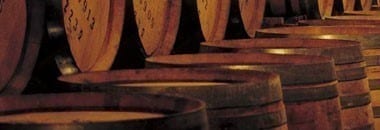 津軽 シャルドネ＆ピノ ノワール スパークリング ブリュット ブラン(瓶内二次醗酵) 2018 サントリー フロムファーム テロワールシリーズ