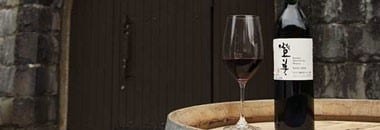 登美の丘ワイナリー リースリング イタリコ 2020 サントリー登美の丘ワイナリー特別醸造シリーズ 超限定品 山梨県 国産ワイン