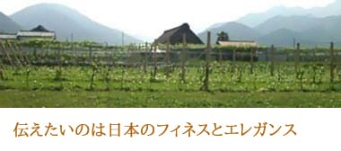 シャトー・メルシャン 穂坂マスカット・ベーリーA 750ml （日本 赤ワイン 日本ワイン）