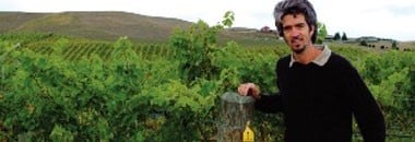 ヴィラ・マリア プライベート・ビン （ドライ） リースリング 2023年 750ml 正規 （ニュージーランド 白ワイン）