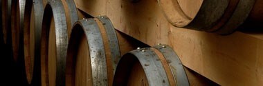 シャトー・デ・ゼサール 2023年 750ml （フランス ベルジュラック 白ワイン） 