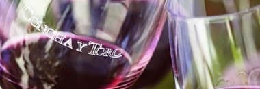 【ハーフサイズ】カッシェロ デル ディアブロ メルロー 2019 コンチャ イ トロ 赤ワイン チリ