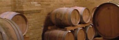 ファンティーニ シャルドネ 2021年 ファルネーゼ IGTテッレ・ディ・キエーティ 750ml （イタリア 白ワイン）