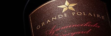 グランポレール スプリ ド ヴァン ジャポネ 絢 AYA  2021年 （日本 赤ワイン）