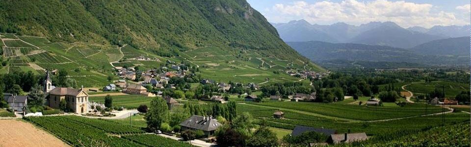 ヴァン・ド・サヴォワ　シニャン 2021年 イヴ・ジラール・マドゥー 750ml （フランス サヴォワ 白ワイン）