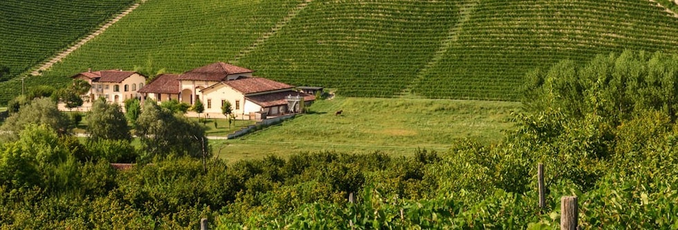 ラ・スピネッタ ビアンコ ソーヴィニヨン “リザーヴド・セレクション” 2015年 750ml （イタリア 白ワイン）