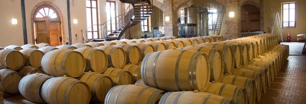 ラ・スピネッタ ビアンコ ソーヴィニヨン “リザーヴド・セレクション” 2015年 750ml （イタリア 白ワイン）