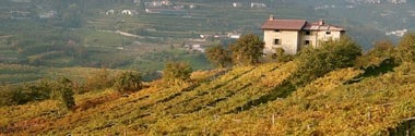 マァジ ソアヴェ クラシコ コルバラカ 2021 750ml イタリア 白ワイン 