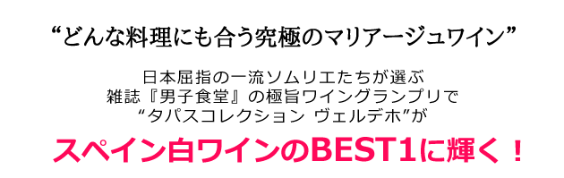 ザ・タパス・ワイン・コレクション ヴェルデホ 2018年 カーサ・デ・ラ・オヤ社 750ml （スペイン 白ワイン）