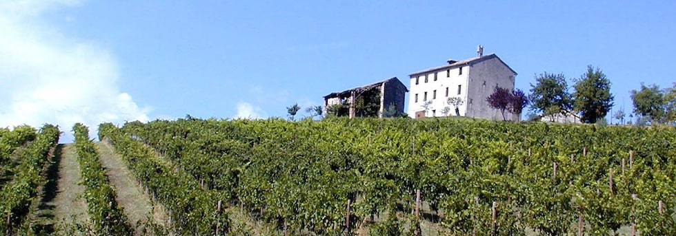 ザルデット プロセッコ エクストラ ドライ ザルデット社 750ml イタリア 白ワイン