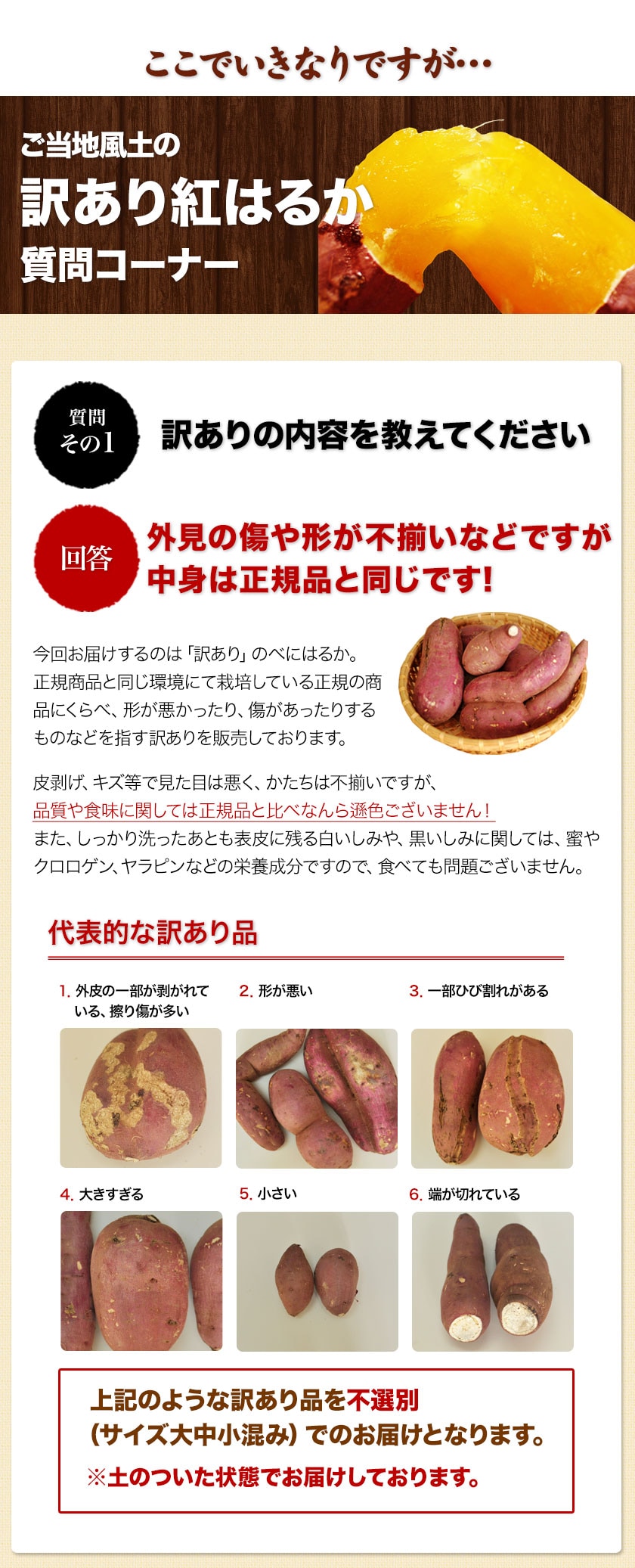 紅はるか
