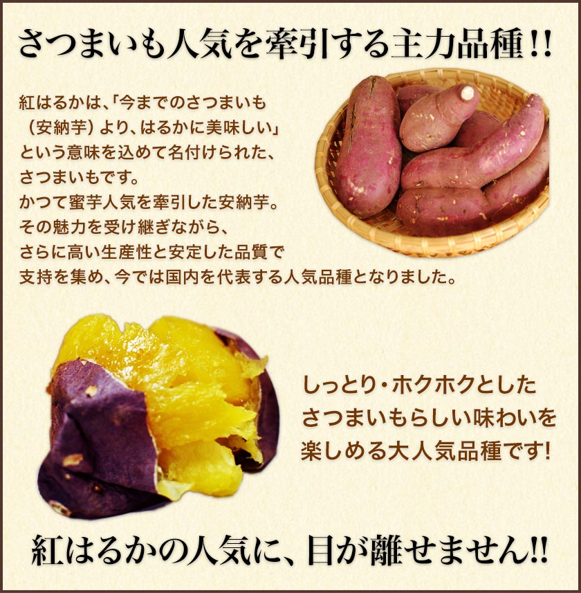 紅はるか