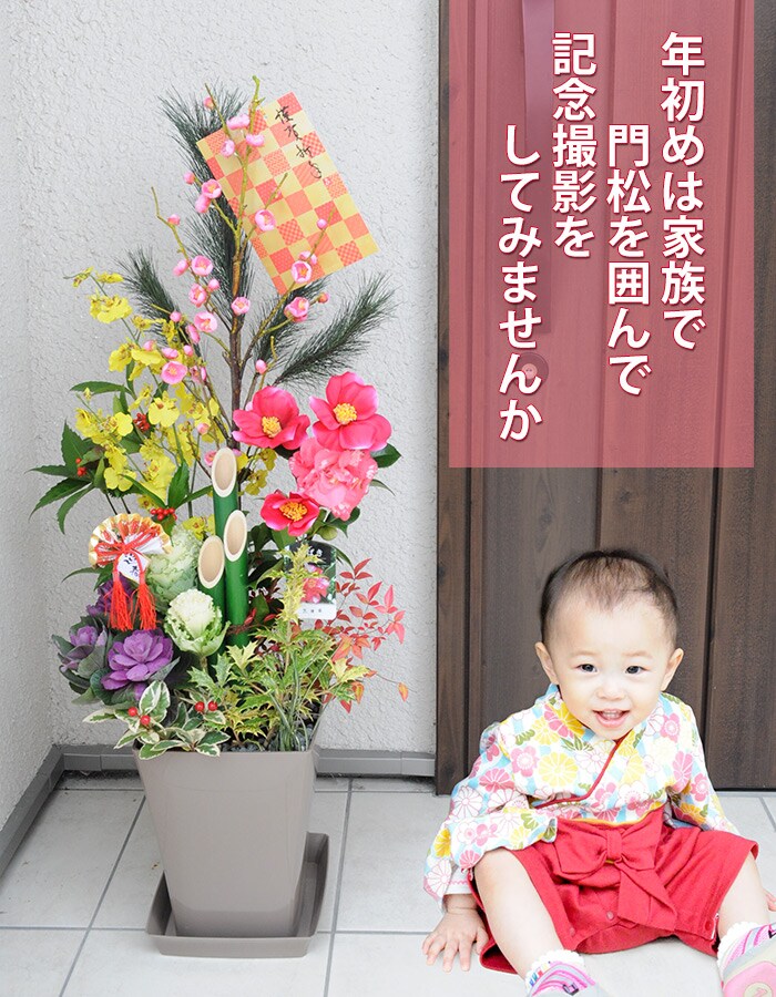 dショッピング |[12月27日]届 正月寄せ植え「門松」8号鉢【年の瀬定型