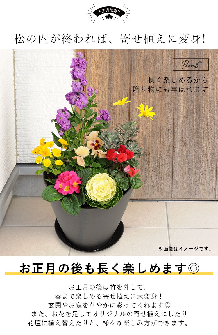 dショッピング |[12月30日]届 創作門松 寄せ植え仕立て【年の瀬定型文