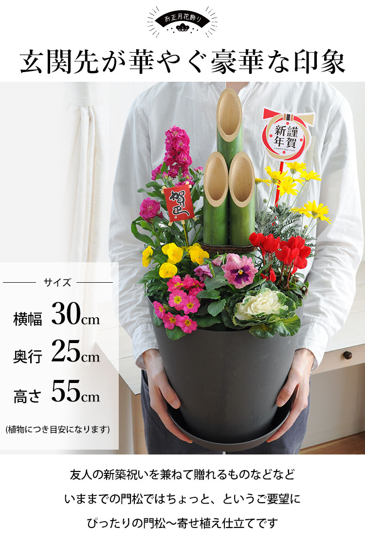 dショッピング |[12月30日]届 創作門松 寄せ植え仕立て【年の瀬定型文