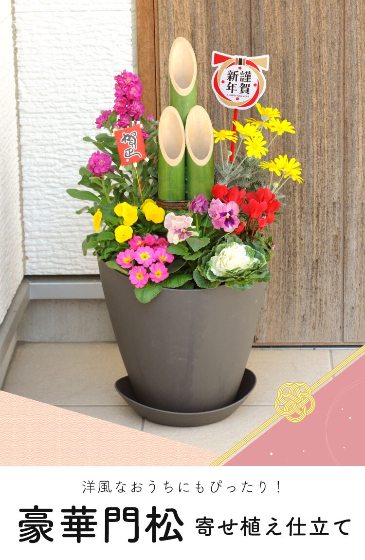 寄せ植え　花_NO.1228 毎月開催！寄せ植え体験会 - ゆりの里公園
