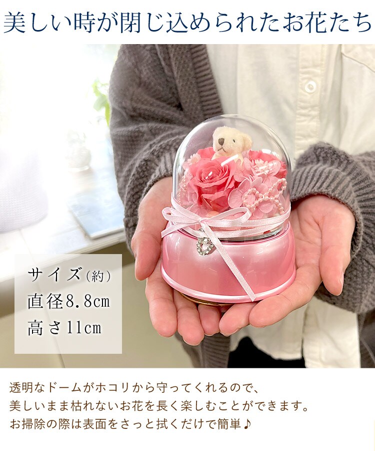 dショッピング |プリザーブドフラワー オルゴールドーム 「星に願いを