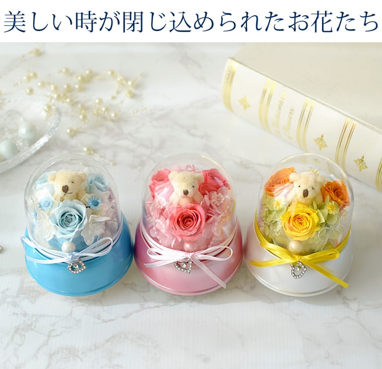 dショッピング |プリザーブドフラワー オルゴールドーム 「星に願いを