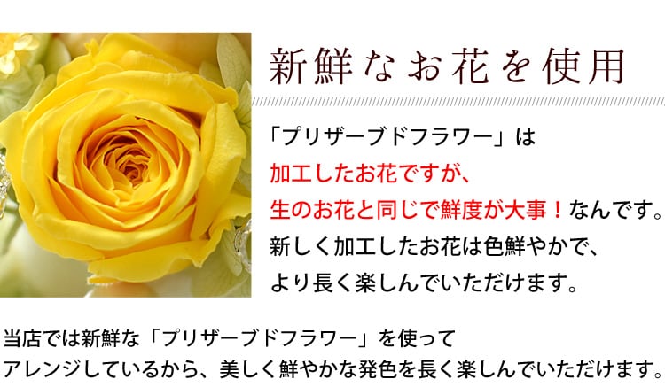 dショッピング |プリザーブドフラワー オルゴールドーム 「星に願いを