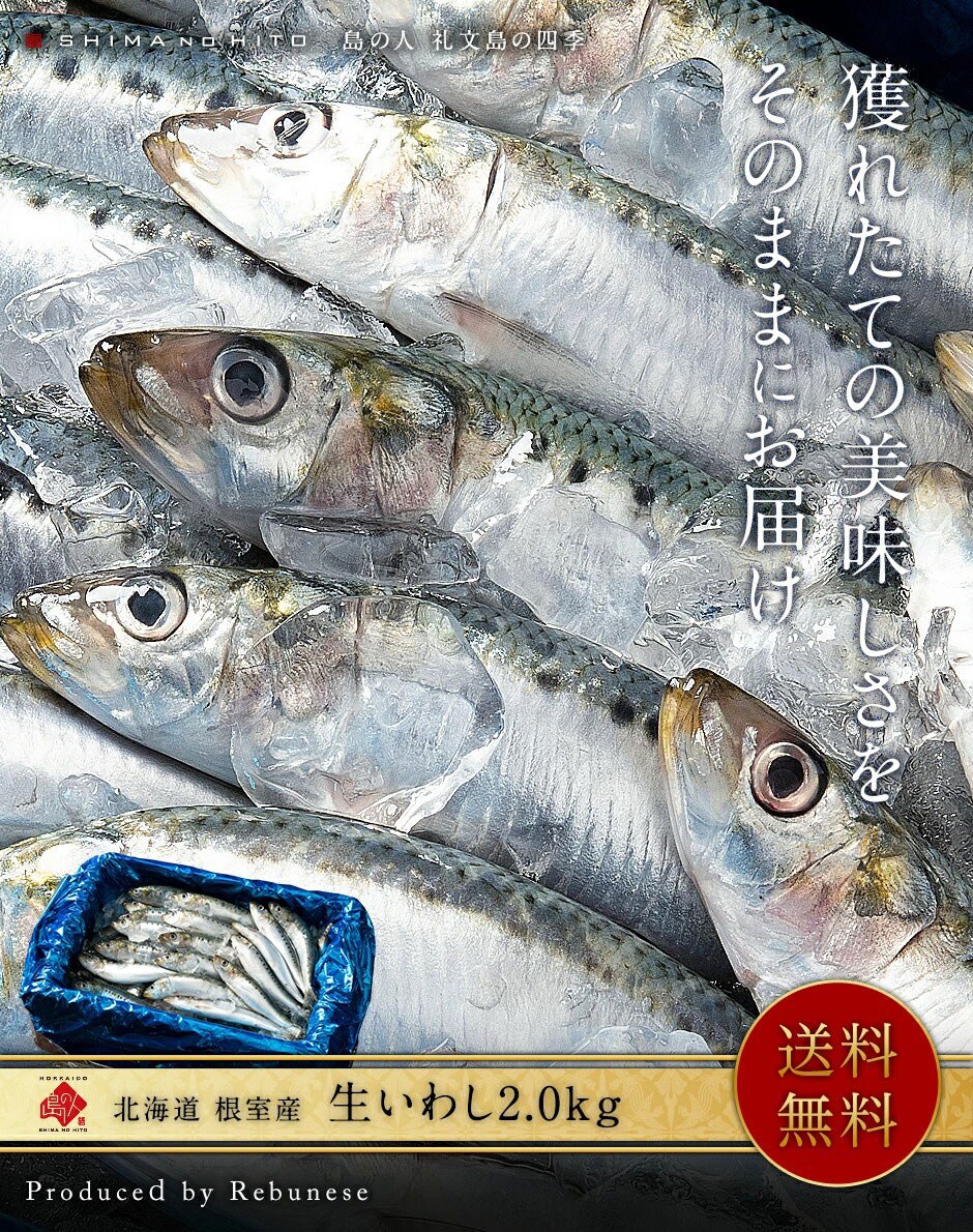 dショッピング |【8月限定販売】新物の根室産 生いわし(真イワシ) 2.0