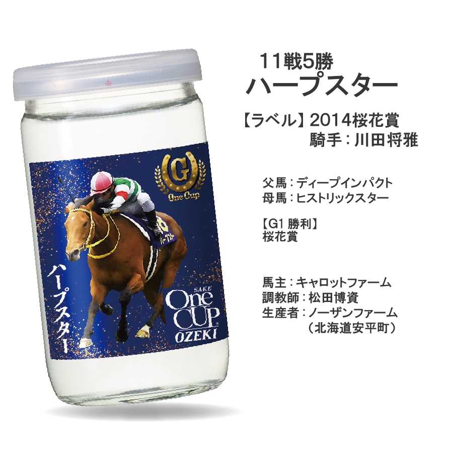 バラ売り可）ワンカップ大関 競馬 桜ラベル全6種セット - 日本酒