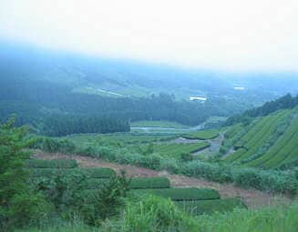 鹿児島県川辺郡知覧町後岳