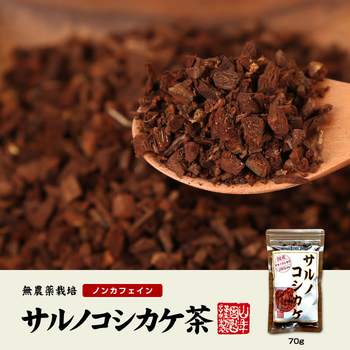 無農薬栽培100% サルノコシカケ茶