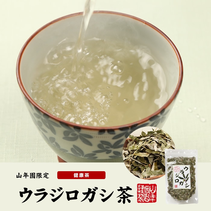 ウラジロガシ茶