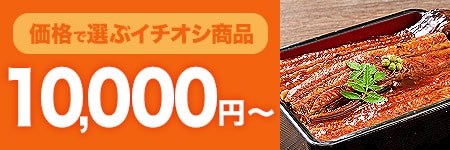 10000円~