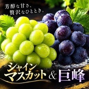 ぶどう