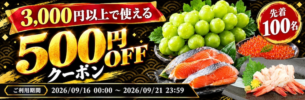 3000円以上で使える500円OFFクーポン