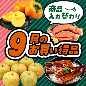 9月セール