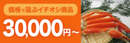 30000円~